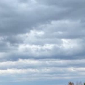 Meet your Posher, Saad